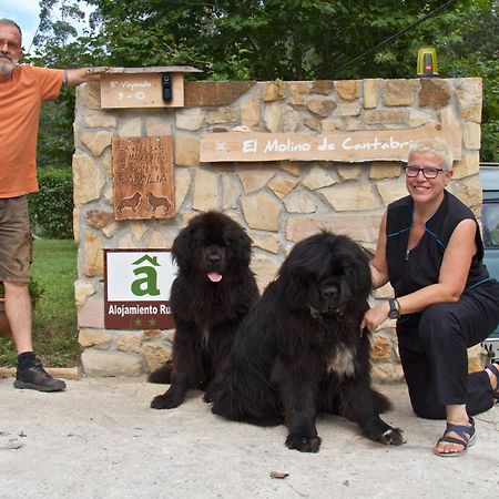 Posada Pet Friendly El Molino De Cantabria Entrambasaguas  Exteriör bild