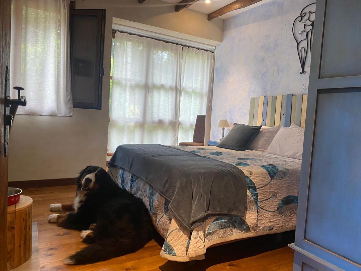 Posada Pet Friendly El Molino De Cantabria Entrambasaguas  Exteriör bild