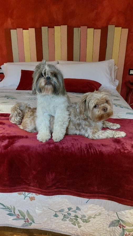 Posada Pet Friendly El Molino De Cantabria Entrambasaguas  Exteriör bild