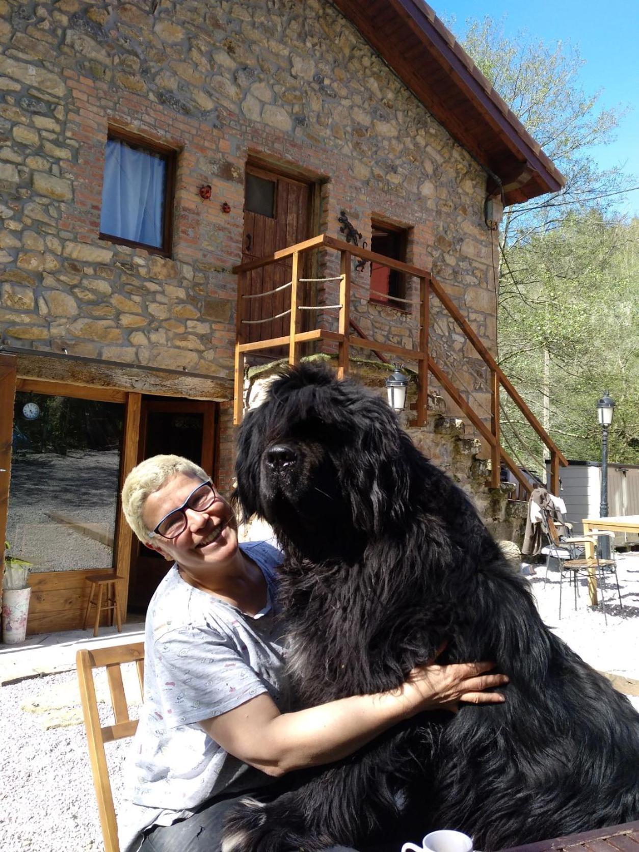 Posada Pet Friendly El Molino De Cantabria Entrambasaguas  Exteriör bild