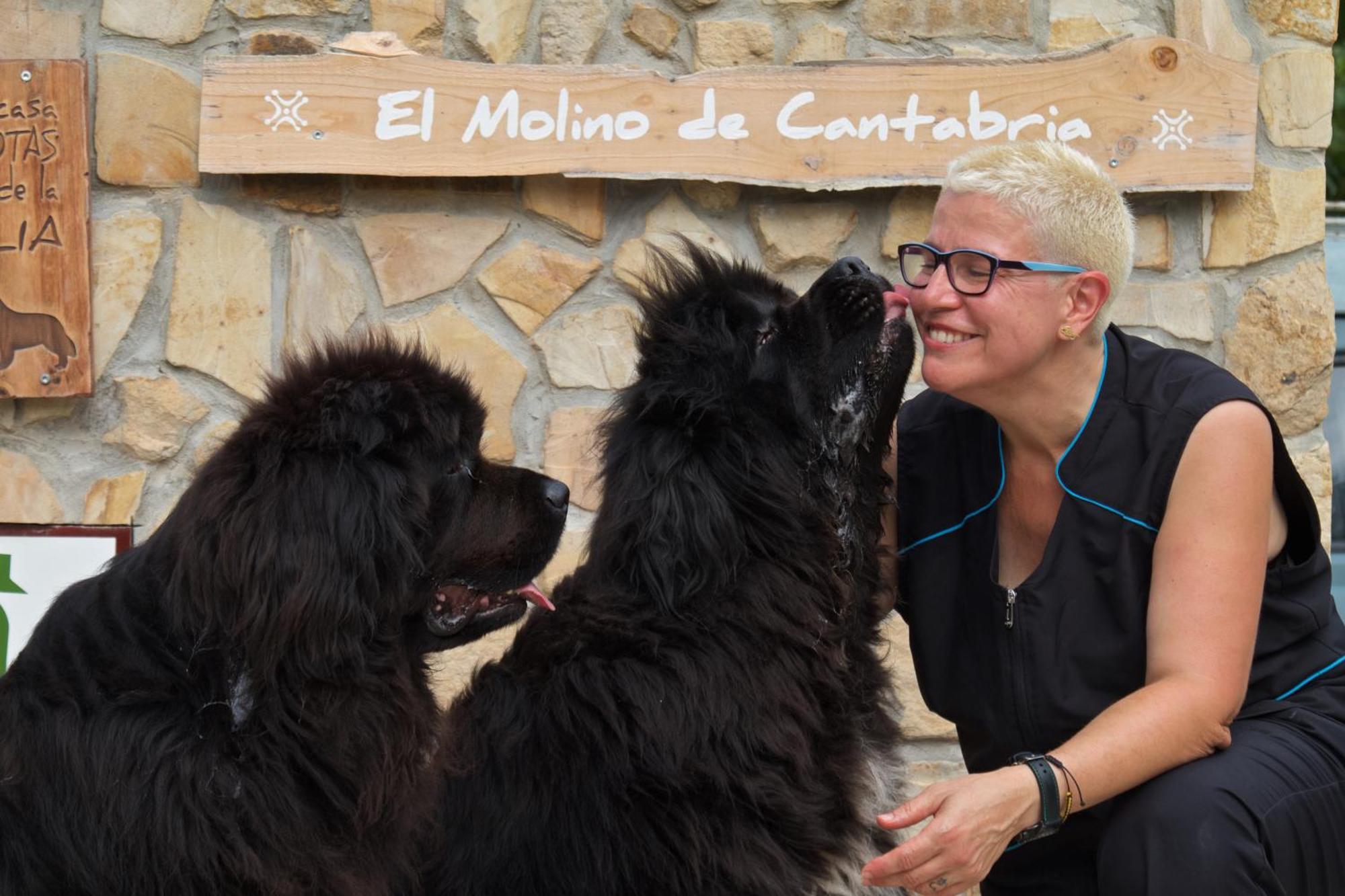 Posada Pet Friendly El Molino De Cantabria Entrambasaguas  Exteriör bild