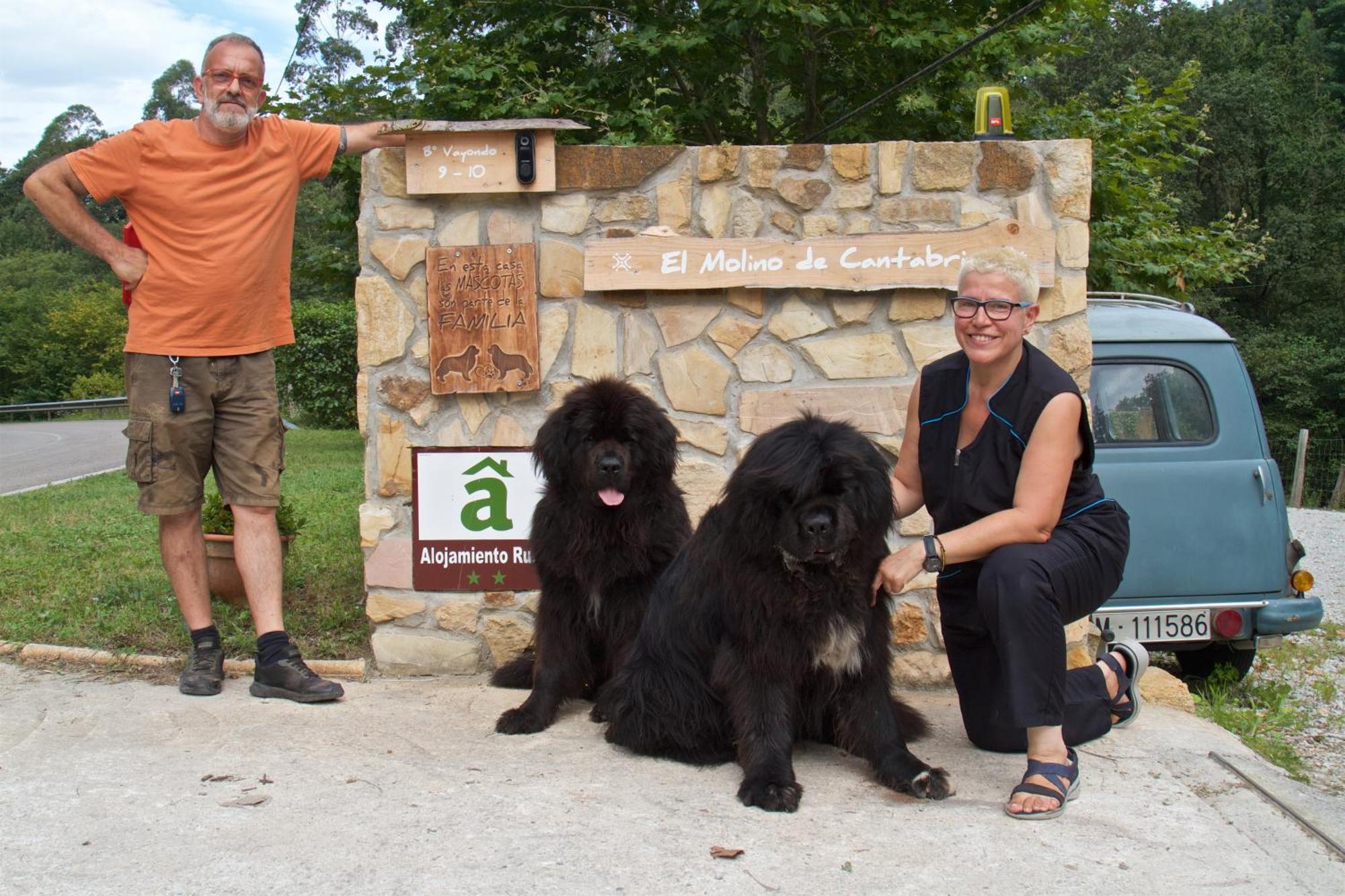 Posada Pet Friendly El Molino De Cantabria Entrambasaguas  Exteriör bild